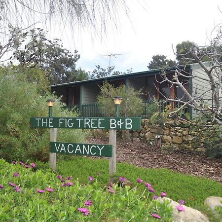 The Fig Tree B&B Baudin Beach Εξωτερικό φωτογραφία