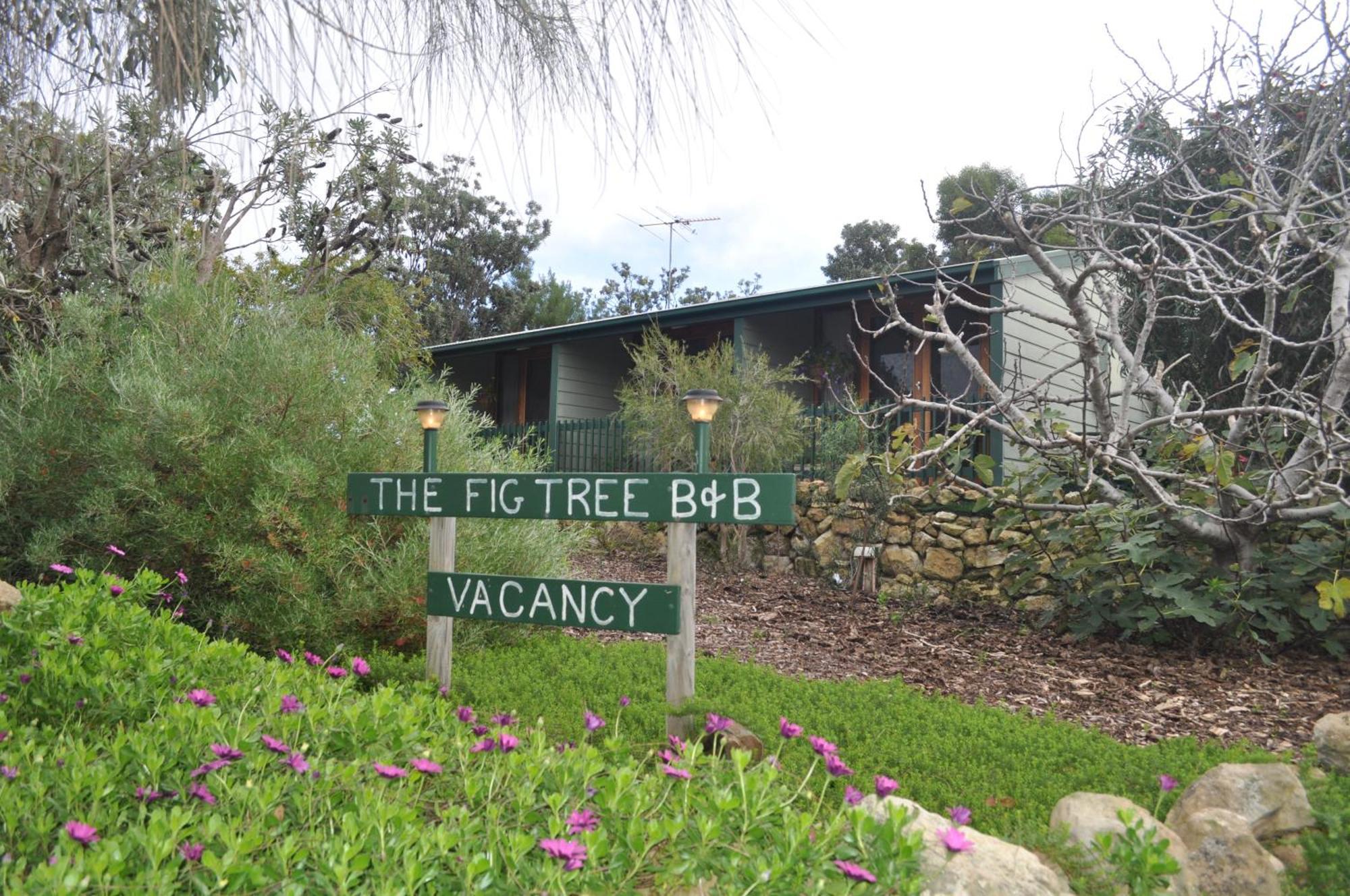 The Fig Tree B&B Baudin Beach Εξωτερικό φωτογραφία